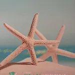 Διαμέρισμα Stella Marina